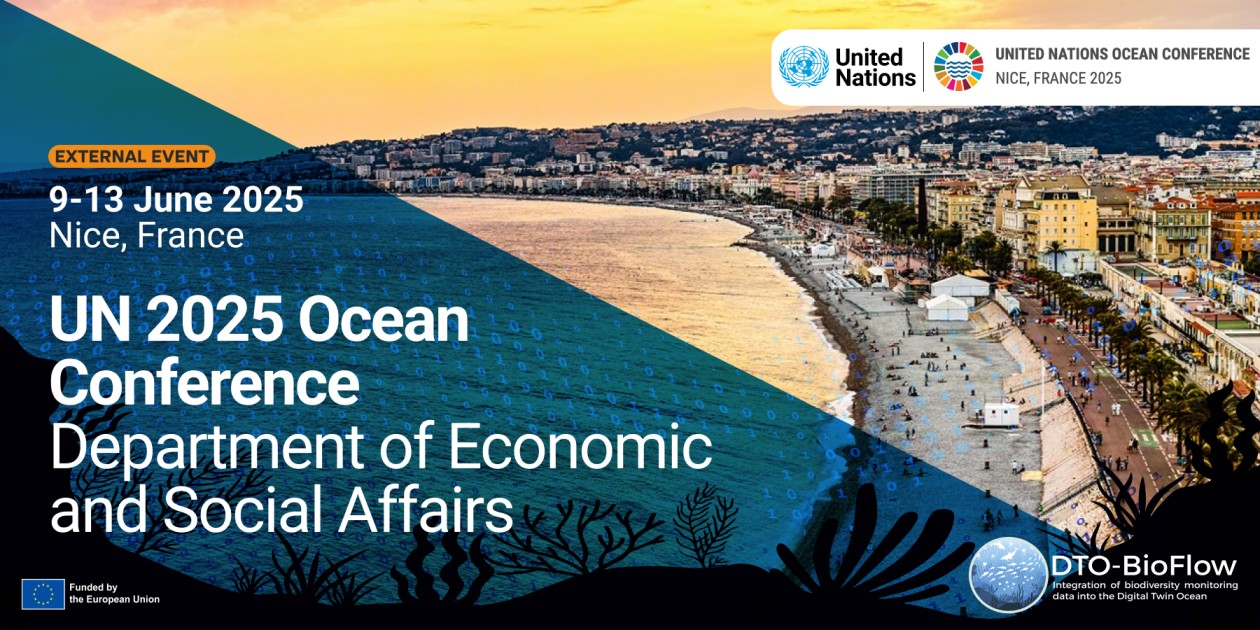 2025 UN Ocean Conference