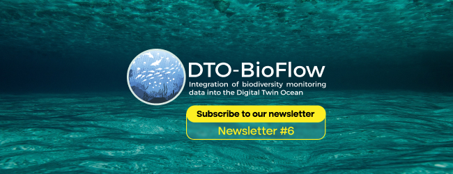newsletter banner