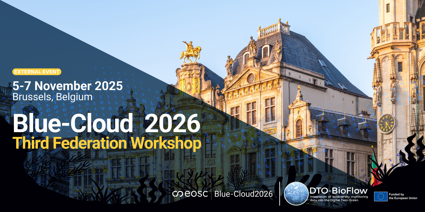 DTO-BioFlow joins the Blue-Cloud 2026 Third Federation Workshop in Brussels