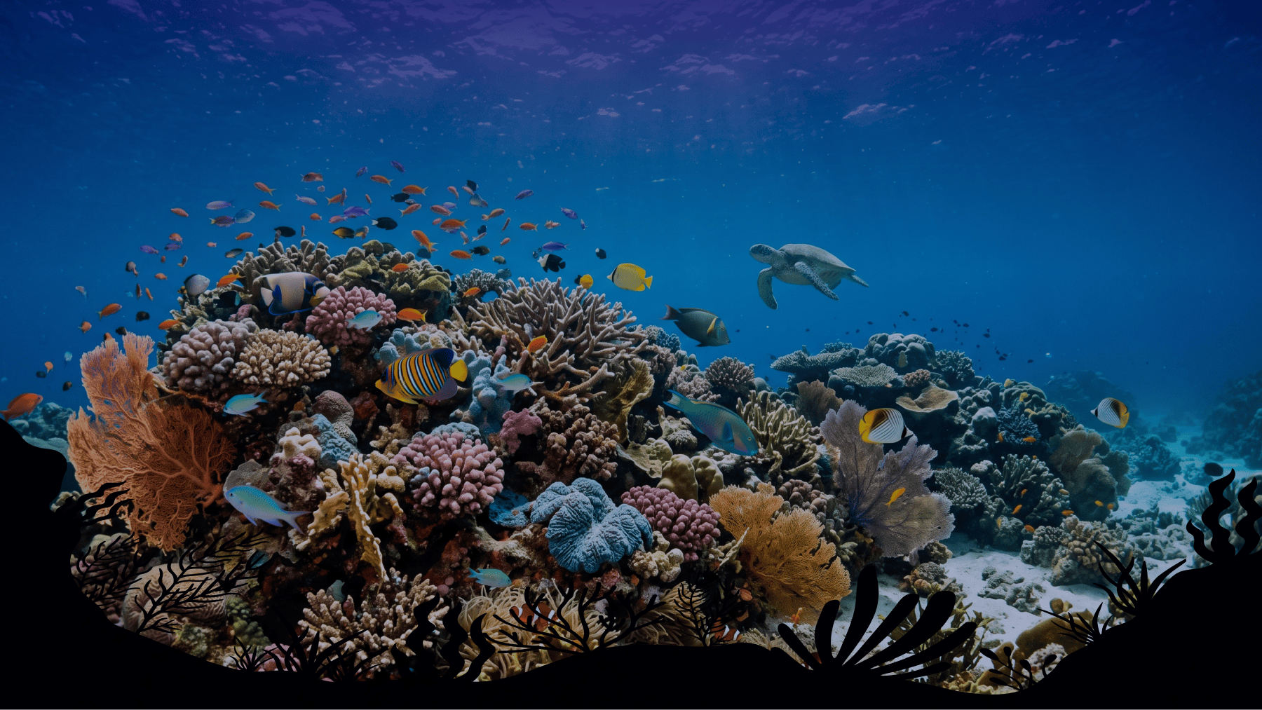 Matchmaking for the Ocean News