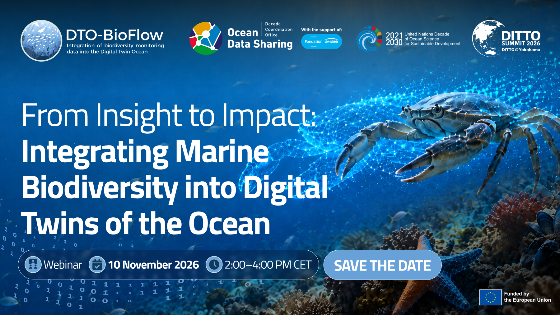 DTO-BioFlow Ocean Decade International Workshop cover