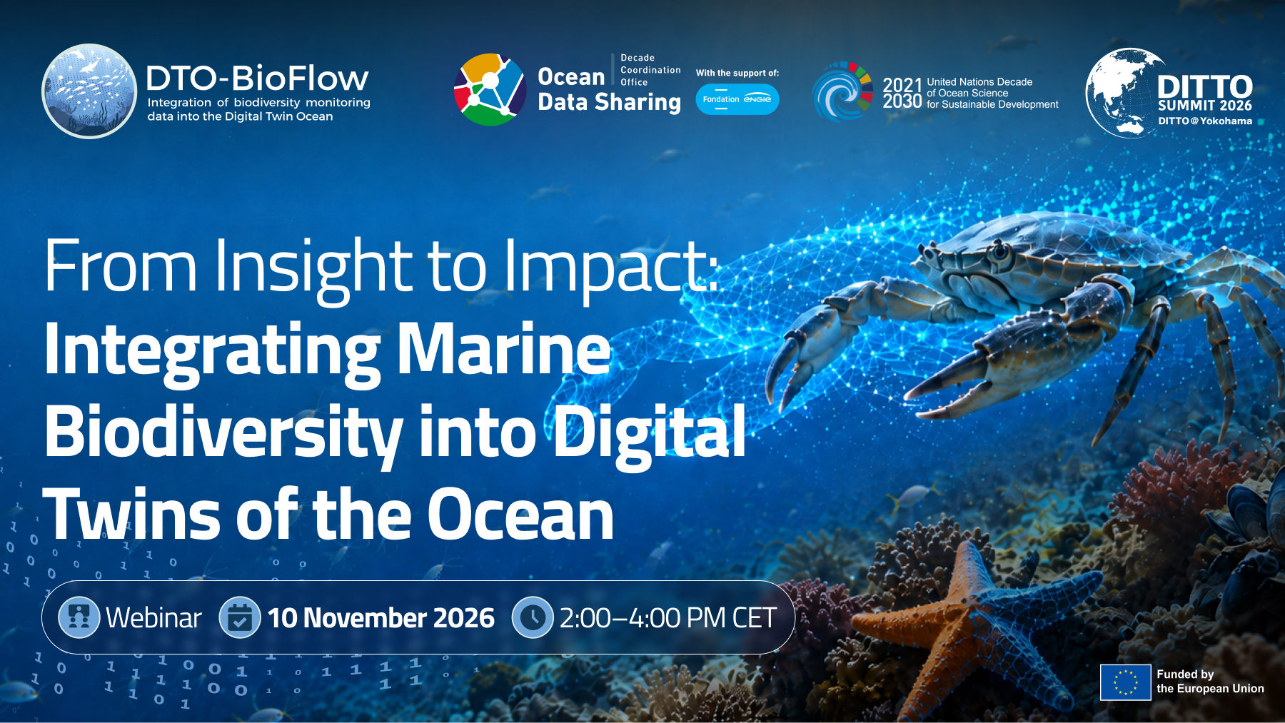 DTO-BioFlow Ocean Decade International Workshop