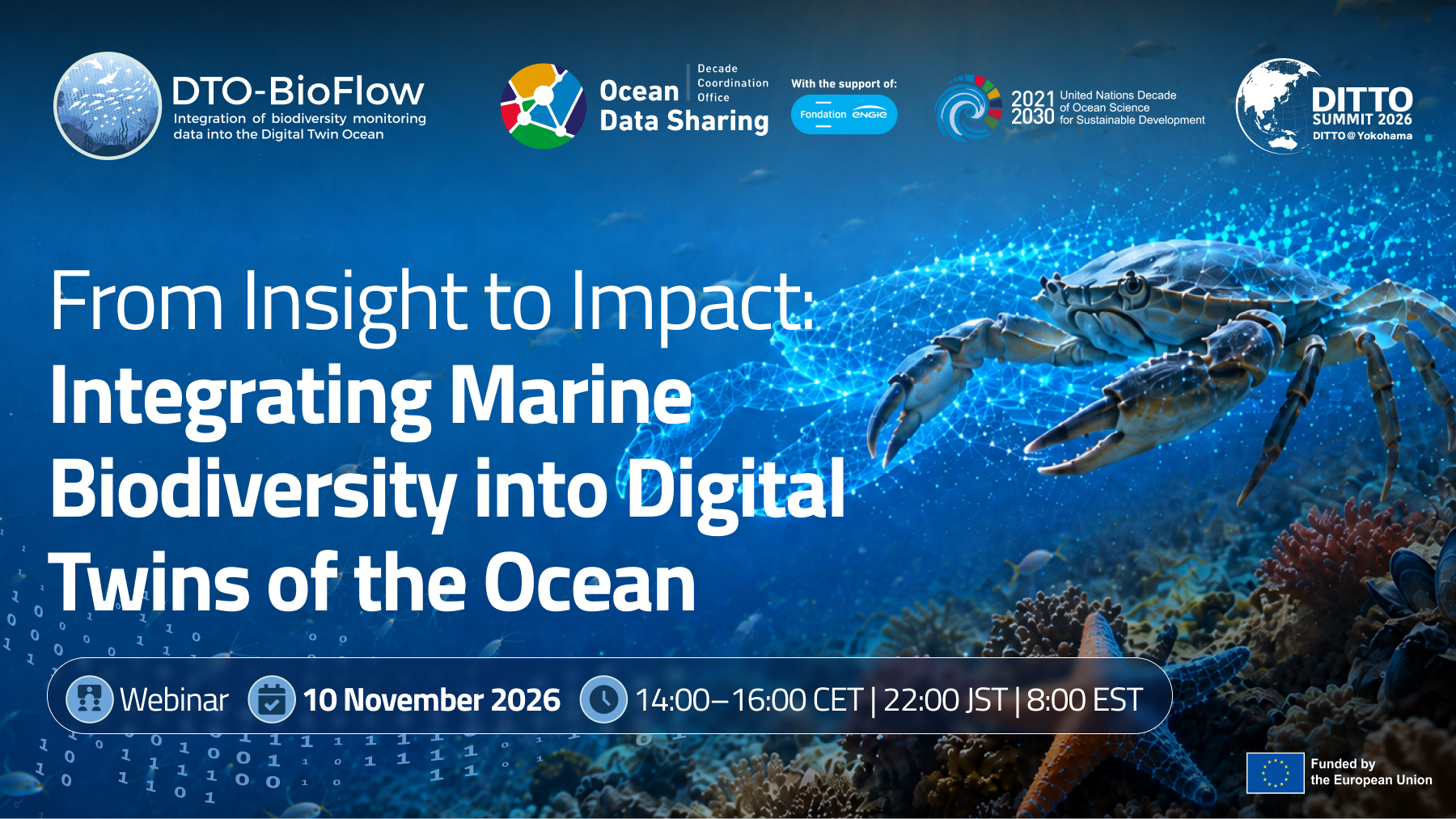 DTO-BioFlow Ocean Decade International Workshop cover