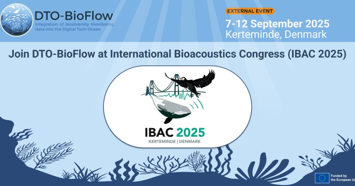 IBAC 2025