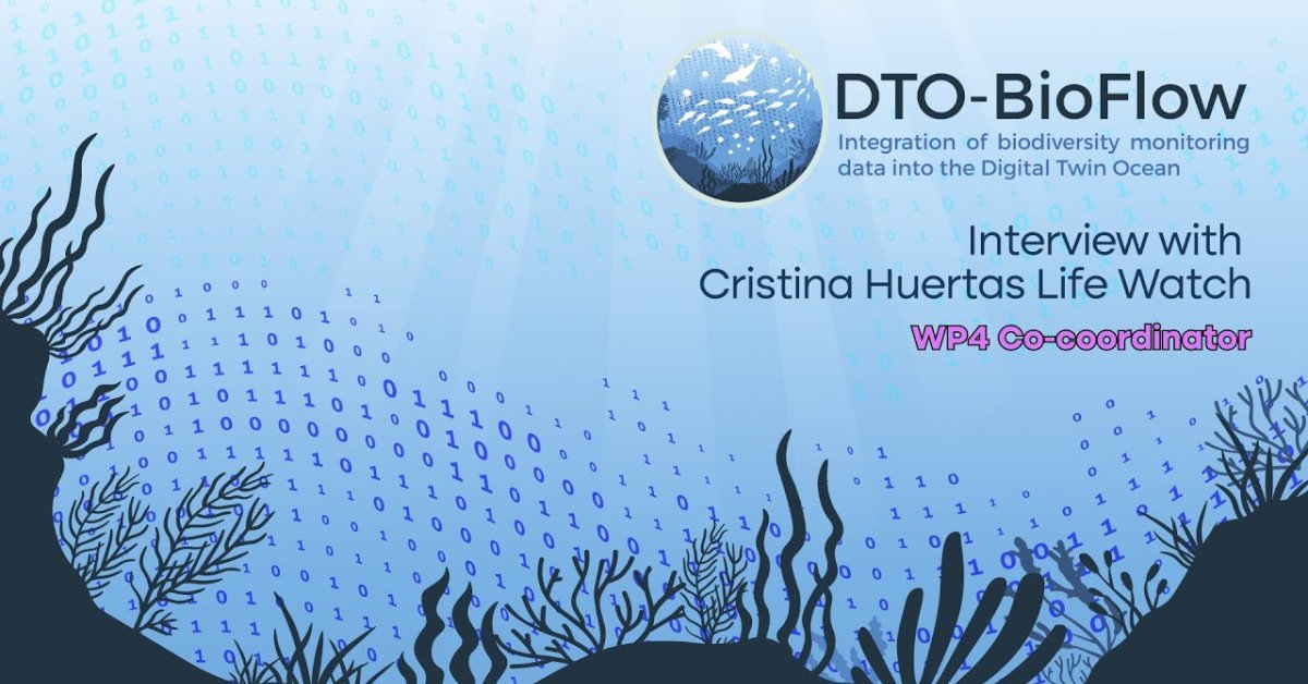 Embedded thumbnail for DTO-BioFlow- WP4 - Interview with Cristina Huertas