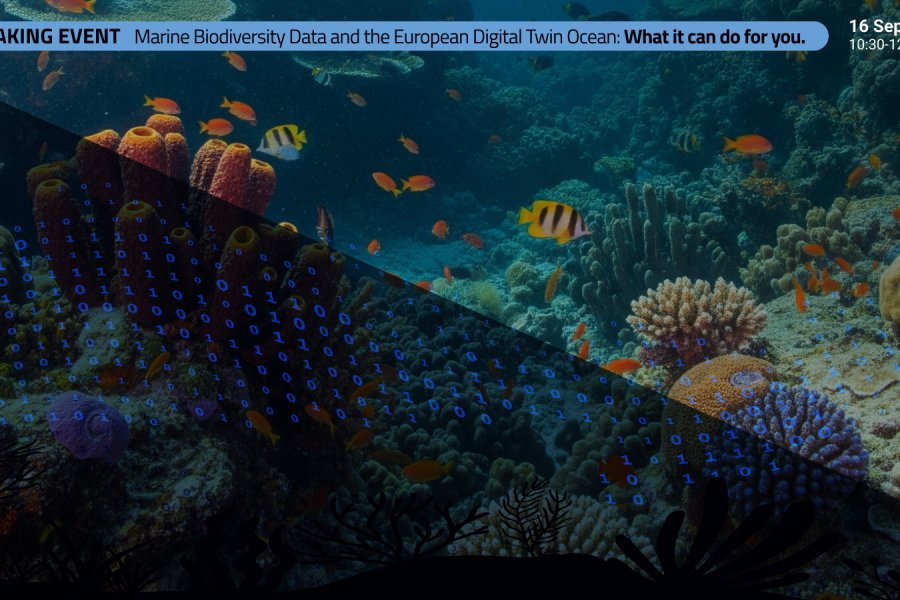 MME14 News