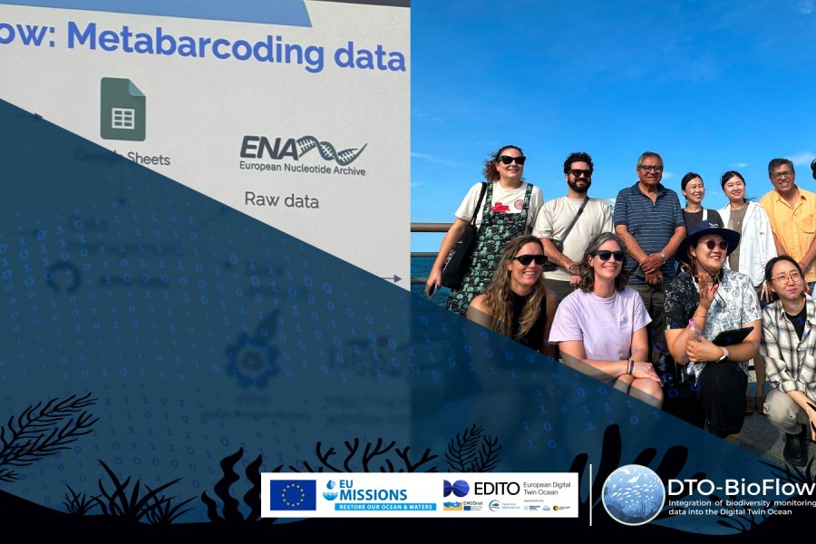 ARMS Workshop News Cover