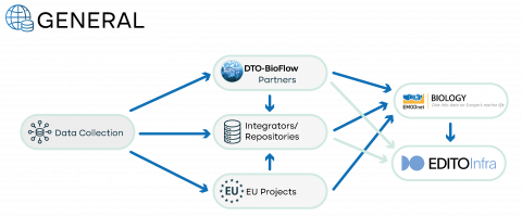 DTO-BioFlow Blueprint visual - general
