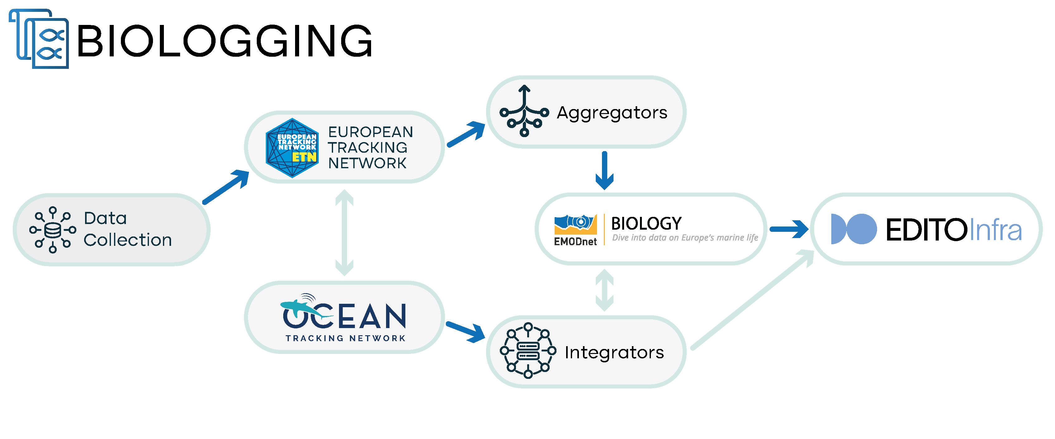 Blueprint_Illustrations_BIOLOGGING