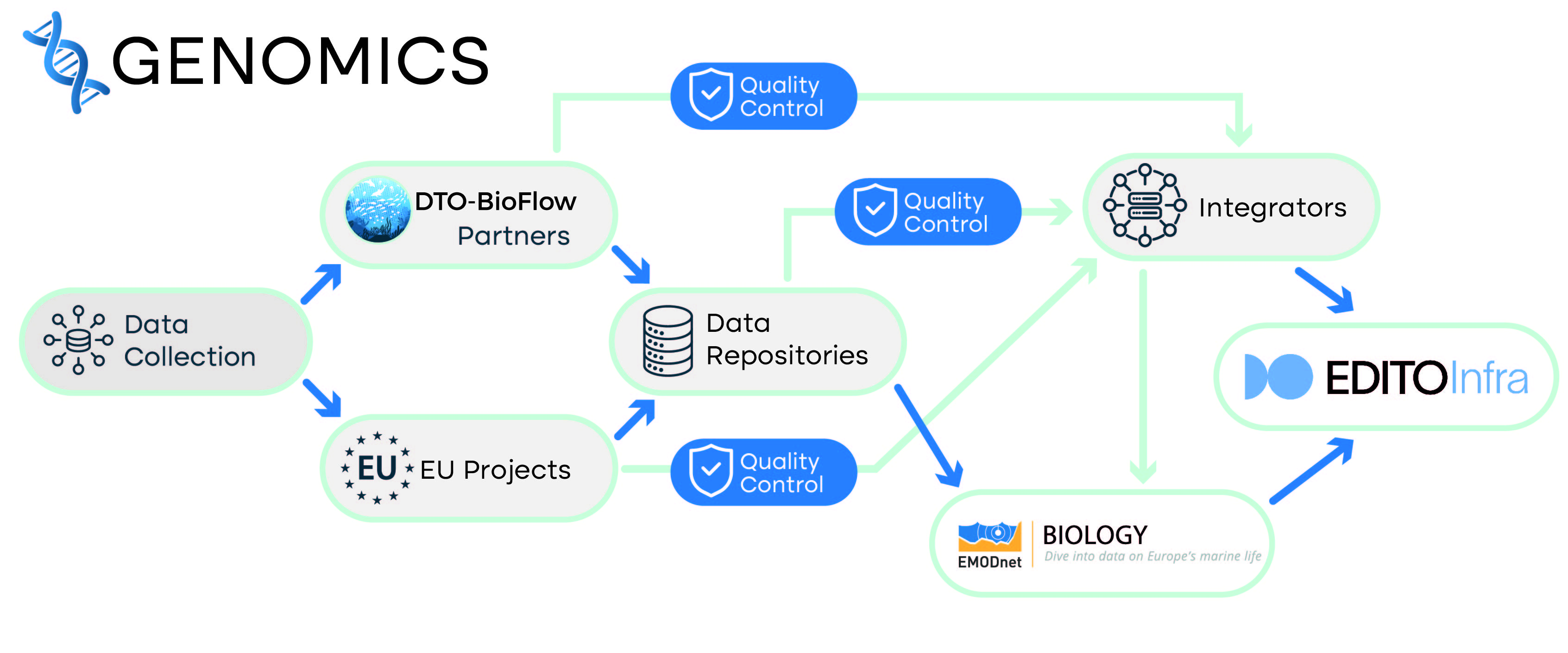 Blueprint_Illustrations_GENOMICS